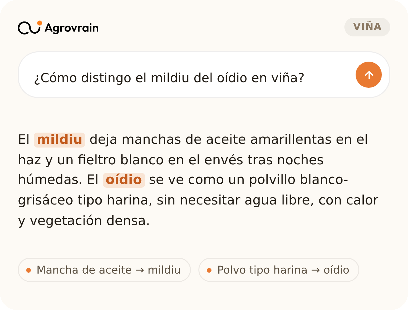 Ejemplo de respuesta de Agrovrain distinguiendo mildiu de oídio en viña