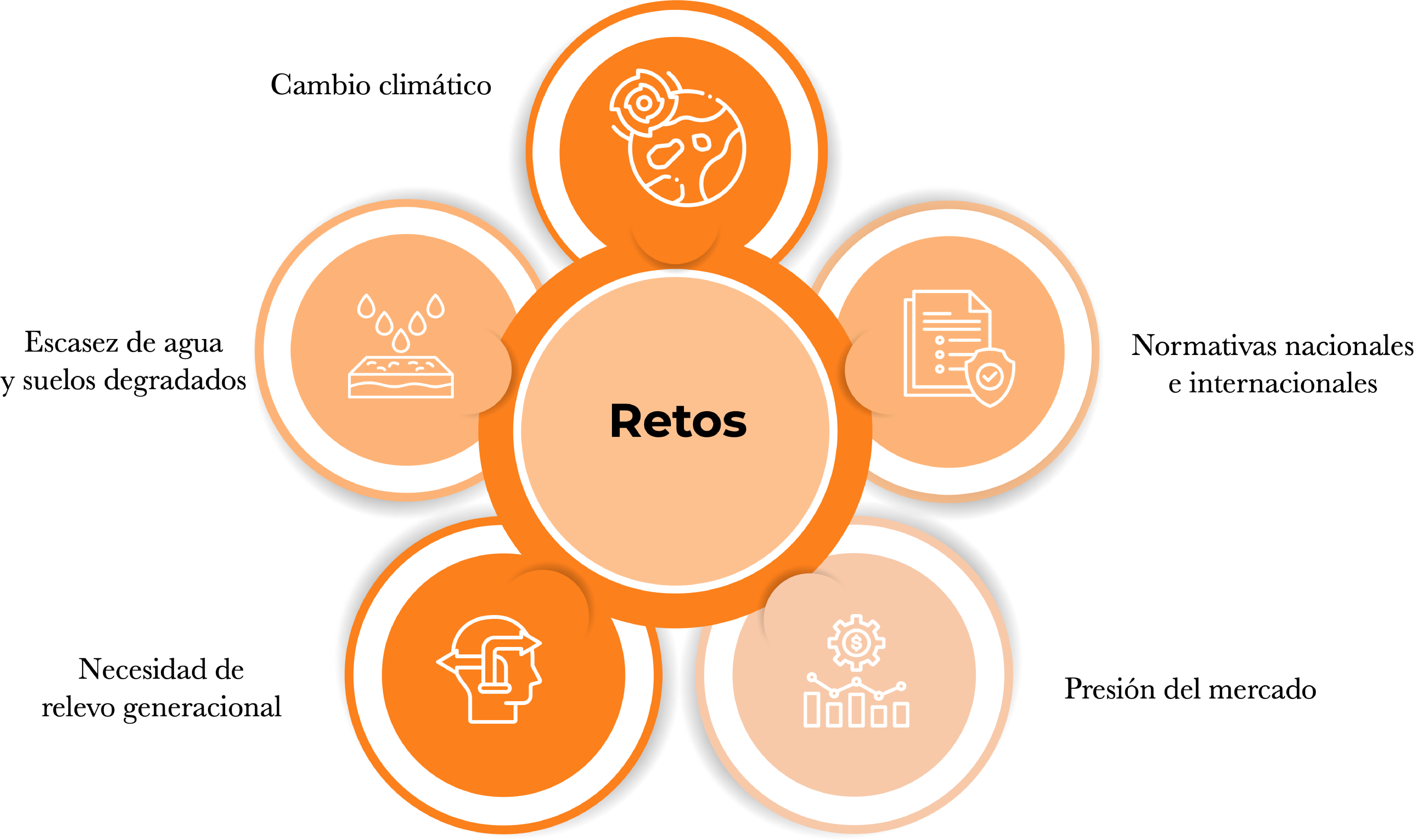 Los grandes retos de la agricultura segun VisualNACert
